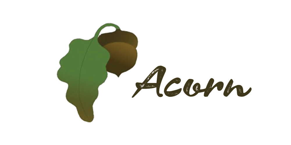 Acorn Easy Precision Piecing Starter Kit - 628250470154